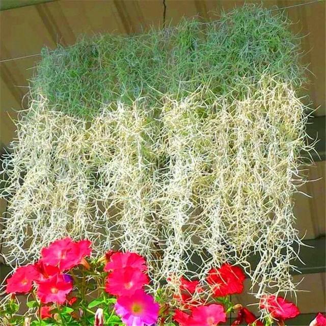 ���������ˣ�20������������һ�۾�ϲ����