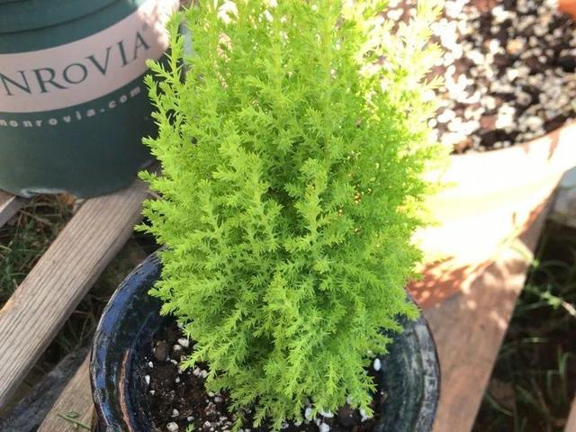 ���������ˣ�20������������һ�۾�ϲ����