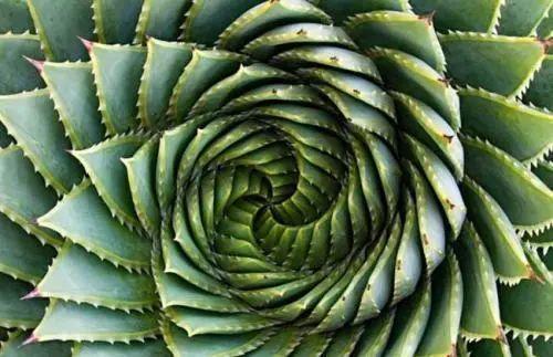 ���������ˣ�20������������һ�۾�ϲ����