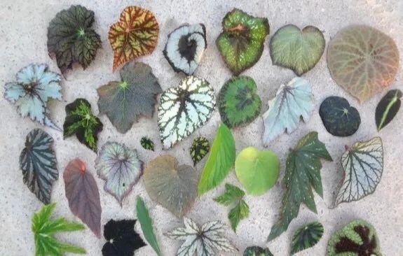 ���������ˣ�20������������һ�۾�ϲ����