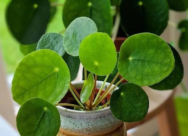 ���������ˣ�20������������һ�۾�ϲ����