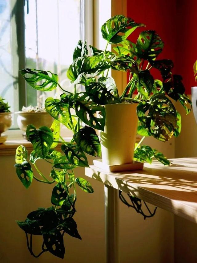 ���������ˣ�20������������һ�۾�ϲ����