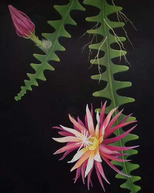 ���������ˣ�20������������һ�۾�ϲ����