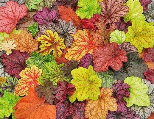 ���������ˣ�20������������һ�۾�ϲ����