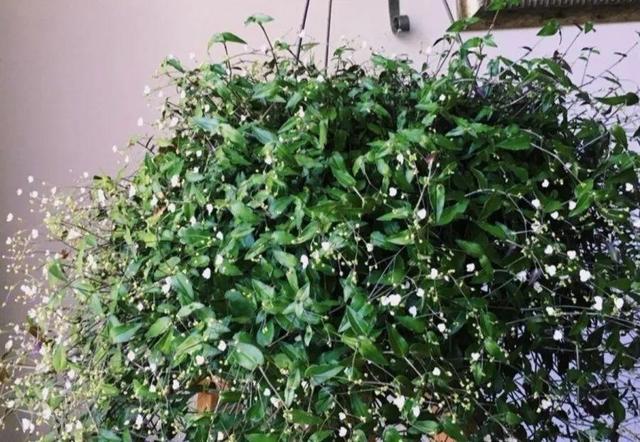 ���������ˣ�20������������һ�۾�ϲ����