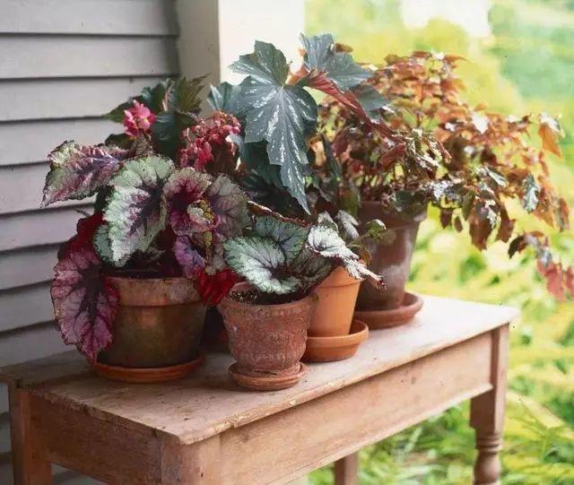 ���������ˣ�20������������һ�۾�ϲ����