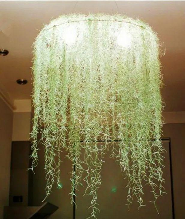 ���������ˣ�20������������һ�۾�ϲ����