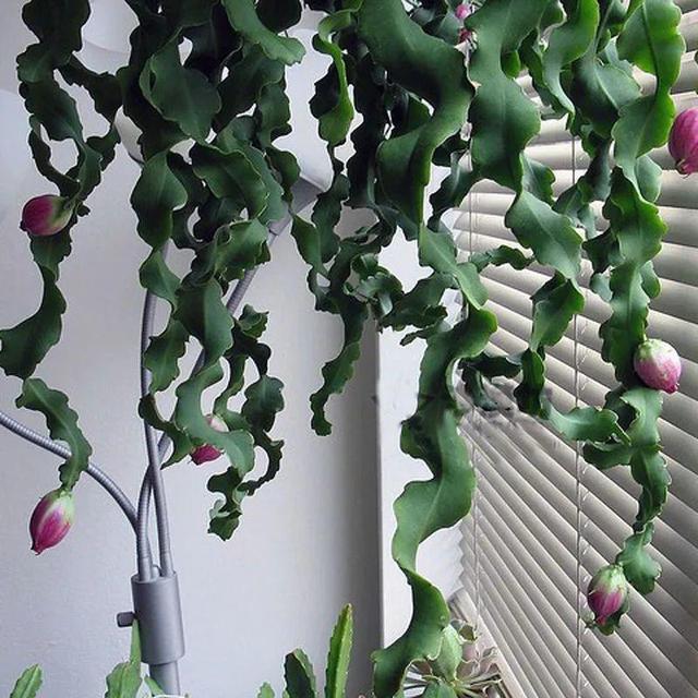 ���������ˣ�20������������һ�۾�ϲ����