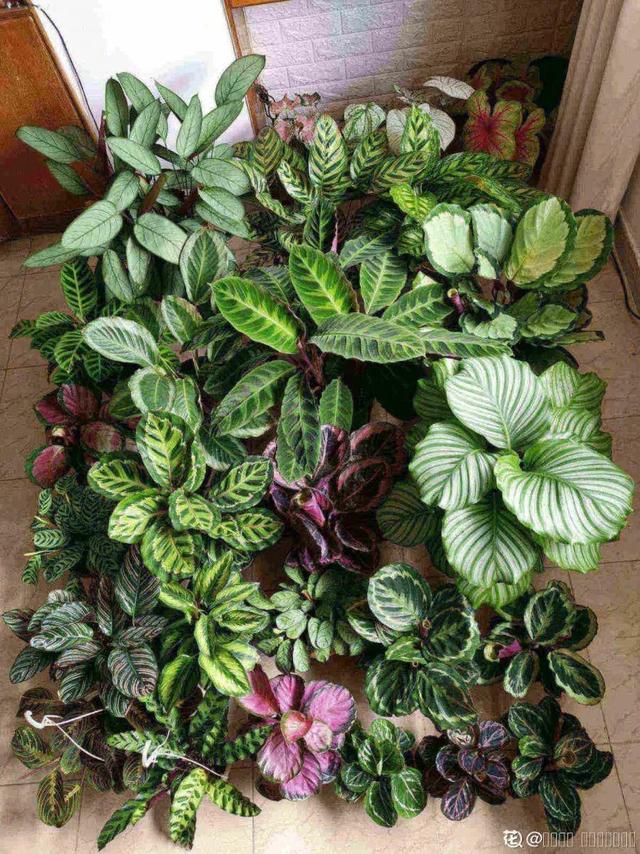 ���������ˣ�20������������һ�۾�ϲ����