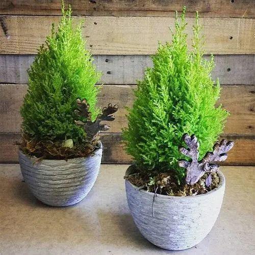 ���������ˣ�20������������һ�۾�ϲ����