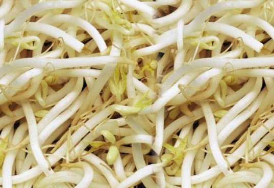 ����������,�ǳ�ʵ��