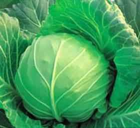 ����������,�ǳ�ʵ��