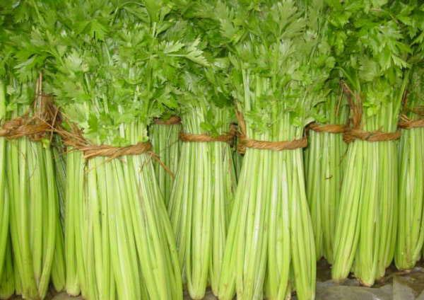 ����������,�ǳ�ʵ��