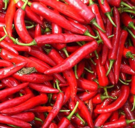 ����������,�ǳ�ʵ��