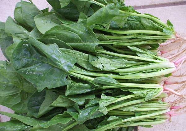 ����������,�ǳ�ʵ��