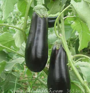 ����������,�ǳ�ʵ��