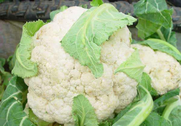 ����������,�ǳ�ʵ��