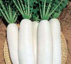 ����������,�ǳ�ʵ��