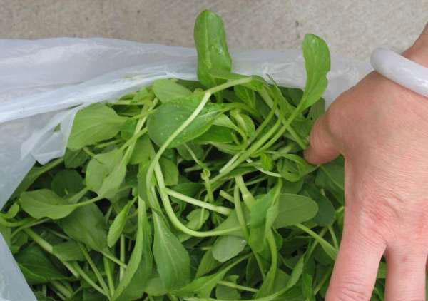 ����������,�ǳ�ʵ��