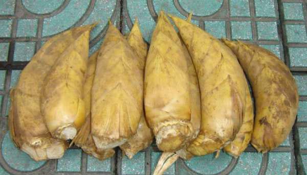 ����������,�ǳ�ʵ��