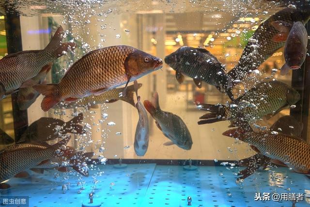 ����Ϊ���㣬���ֹ��ϵ�ʳ��ӹ������������˶�����ʳ�Ļ�