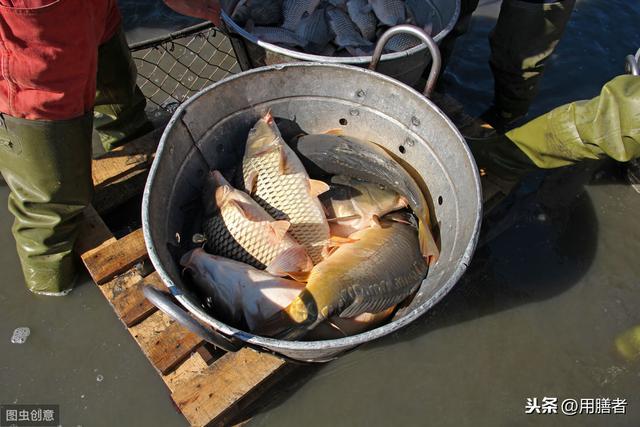 ����Ϊ���㣬���ֹ��ϵ�ʳ��ӹ������������˶�����ʳ�Ļ�