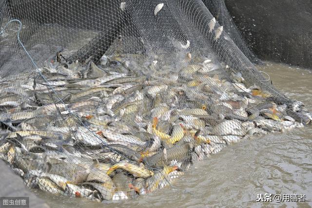 ����Ϊ���㣬���ֹ��ϵ�ʳ��ӹ������������˶�����ʳ�Ļ�