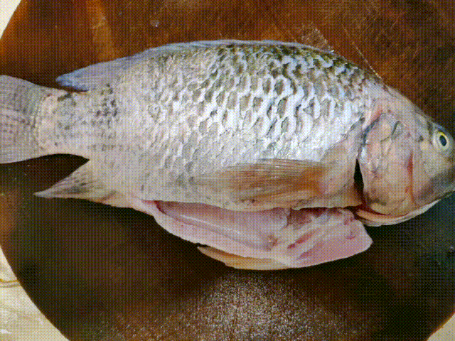 ����Ϊ���㣬���ֹ��ϵ�ʳ��ӹ������������˶�����ʳ�Ļ�