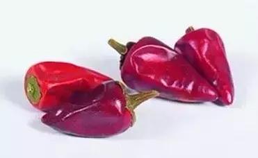 ʮ���ָ������ļ��