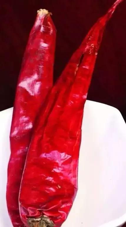 ʮ���ָ������ļ��