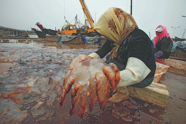 �ʴӺ�������Ϊ���ʣ�