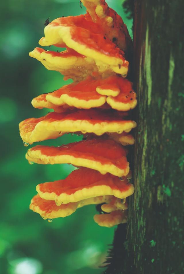 �ʴӺ�������Ϊ���ʣ�