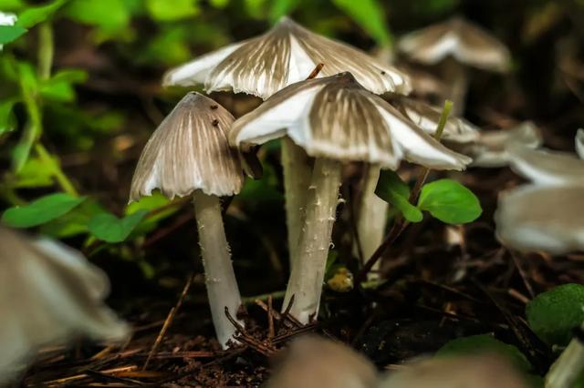 �ʴӺ�������Ϊ���ʣ�