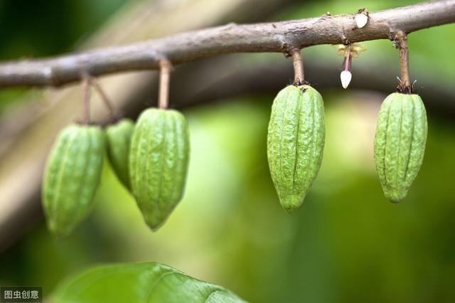 �ɿɷۺͿ��ȵ�����