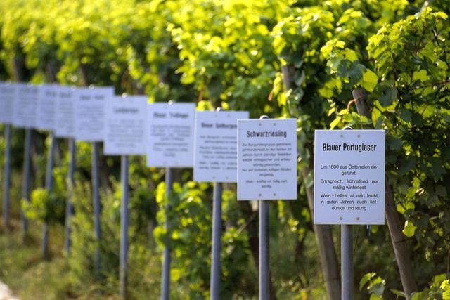 �ӿ�����̸�𣬵¹���Щ��ʳ�����ж�ó�