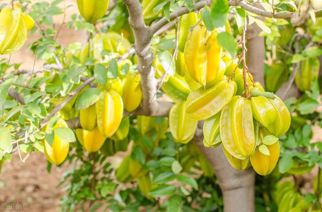 58�ֳ���ͥԺ����������������˶�����ۣ���������ˣ�