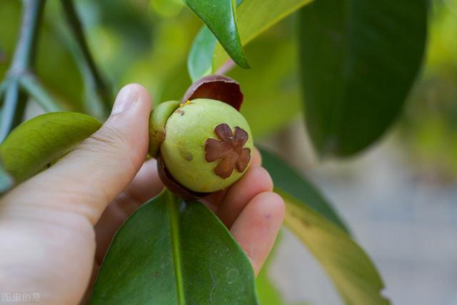 58�ֳ���ͥԺ����������������˶�����ۣ���������ˣ�