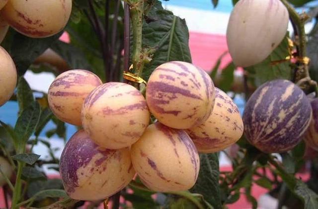 58�ֳ���ͥԺ����������������˶�����ۣ���������ˣ�