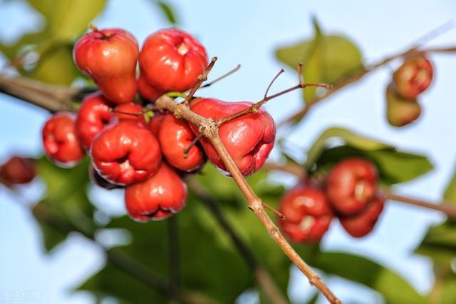 58�ֳ���ͥԺ����������������˶�����ۣ���������ˣ�