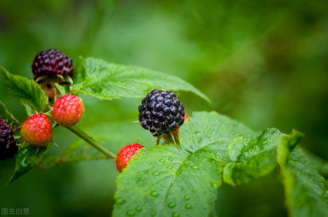 58�ֳ���ͥԺ����������������˶�����ۣ���������ˣ�