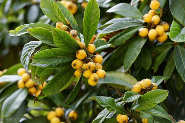 58�ֳ���ͥԺ����������������˶�����ۣ���������ˣ�