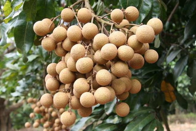 58�ֳ���ͥԺ����������������˶�����ۣ���������ˣ�