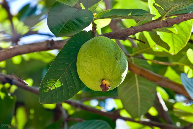 58�ֳ���ͥԺ����������������˶�����ۣ���������ˣ�