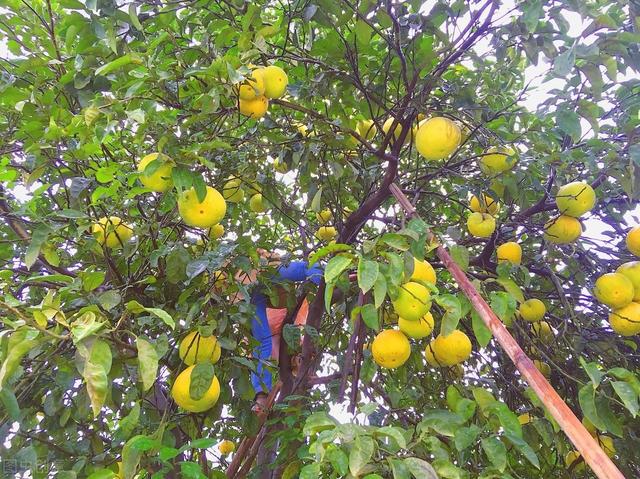 58�ֳ���ͥԺ����������������˶�����ۣ���������ˣ�