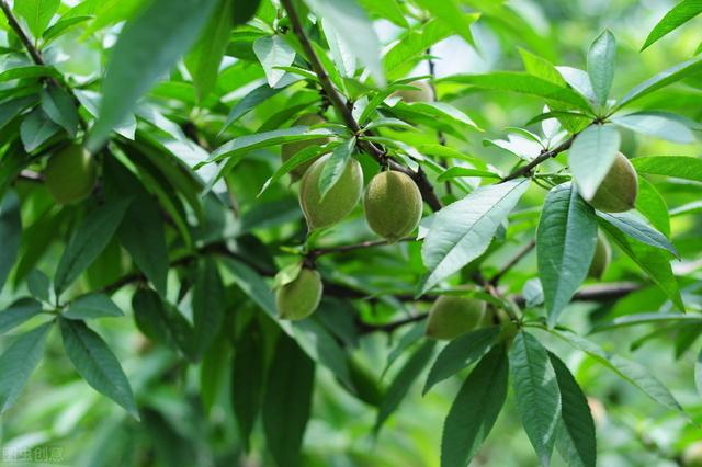 58�ֳ���ͥԺ����������������˶�����ۣ���������ˣ�