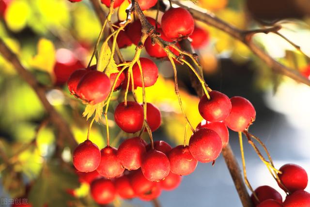 58�ֳ���ͥԺ����������������˶�����ۣ���������ˣ�