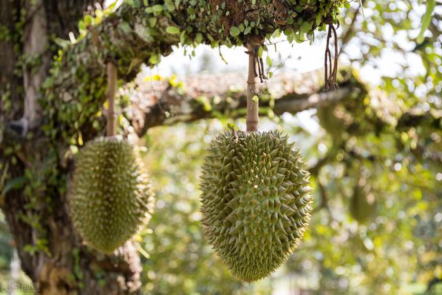 58�ֳ���ͥԺ����������������˶�����ۣ���������ˣ�