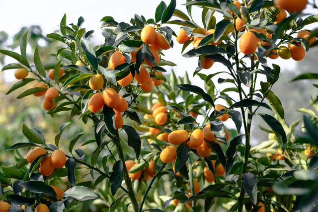 58�ֳ���ͥԺ����������������˶�����ۣ���������ˣ�