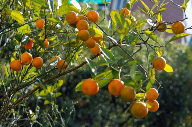 58�ֳ���ͥԺ����������������˶�����ۣ���������ˣ�