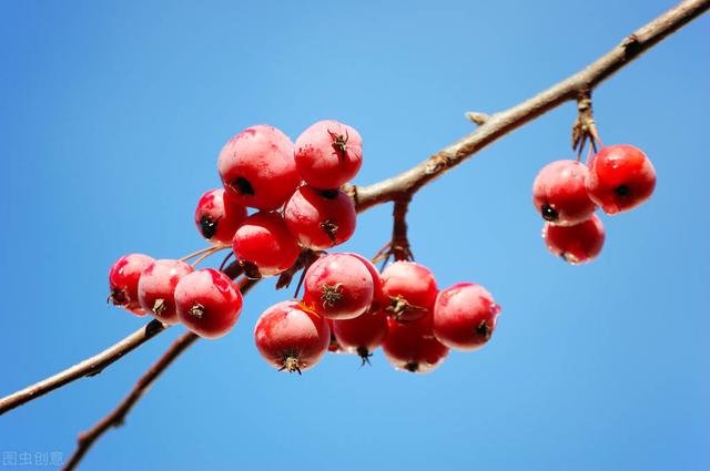 58�ֳ���ͥԺ����������������˶�����ۣ���������ˣ�